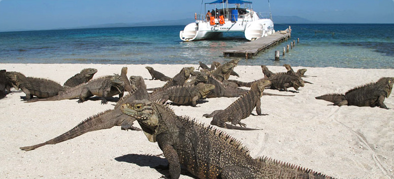 Cayo Iguanas beach in Cuba