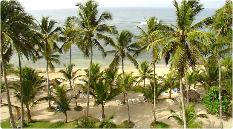 Dominican Republic palm beach