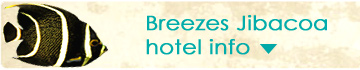 Open hotelinfo
