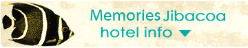 Open hotelinfo