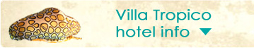 Open hotelinfo