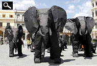 Click to enlarge - Havana Biennial