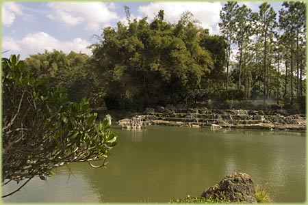 National Botanic Garden Havana