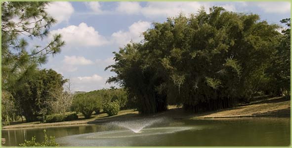 National Botanic Garden Havana