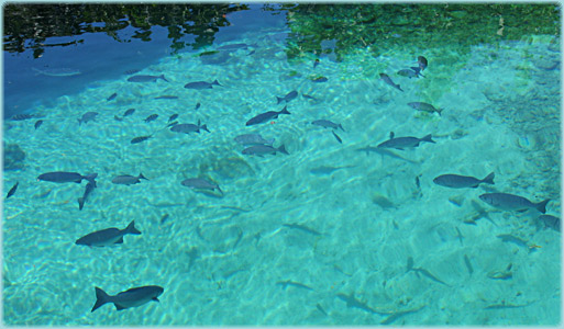 Caleta Buena Zapata Cuba 