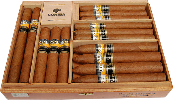 Cigar Habanos
