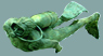 Cozumel diving