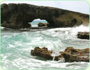 Cozumel sea 