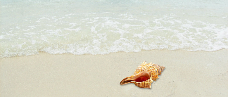 Cayo Santa Maria beach