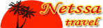 Netssa logo