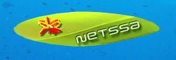 Netssa.com