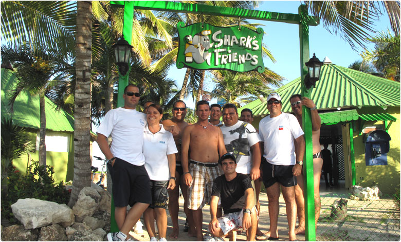 Sharks friends Santa Lucia Cuba