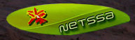 Netssa.com