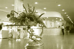 Hotel Internacional