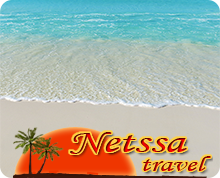 Netssa.com