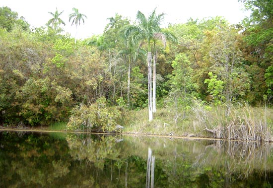 Pinar del Rio Biosphere