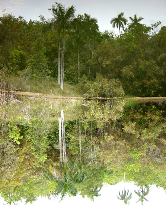 Sierra del Rosario, Mirror lake