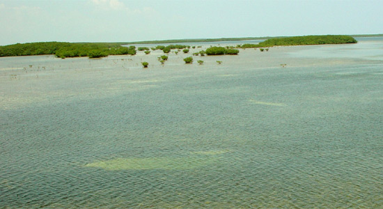 Cayo Santa Maria Cuba
