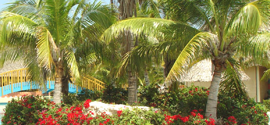 Sol Cayo Santa Maria Hotel