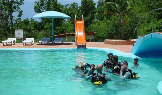 diving in pool