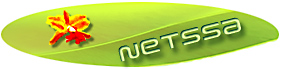 Netssa.com