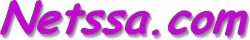 Netssa.com
