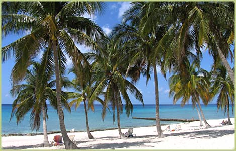 Maria la Gorda beach