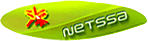 Netssa logo