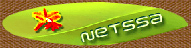 Netssa.com