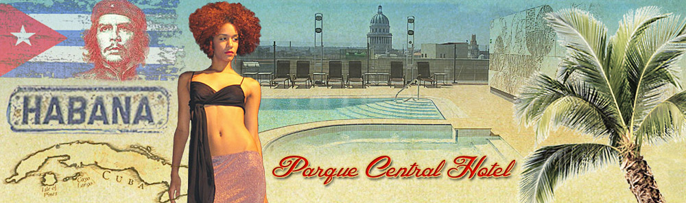 Parque Central Hotel