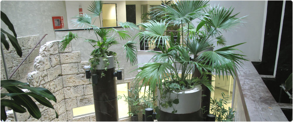 hotel inner patio