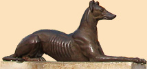 Trinidad dog