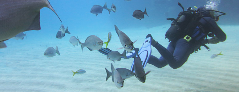 Diving in Varadero