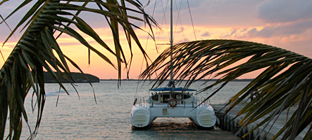 catamaran trip