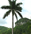 Adventure Varadero Nature