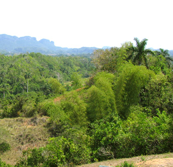 vinales panorama