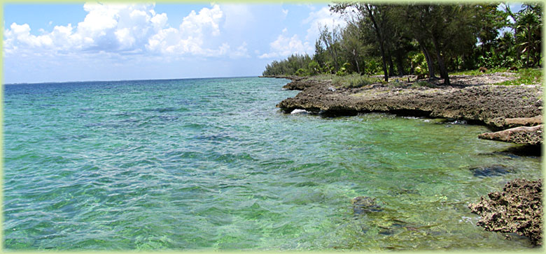 Bay of Pigs shore